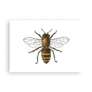 Póster - Bondad natural - 70x50 cm