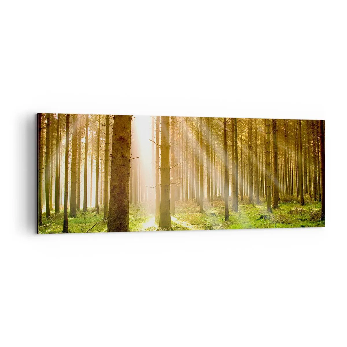 Cuadro sobre lienzo - Impresión de Imagen - Bosque de coníferas con rayos de sol brillando a través de los árboles. - 140x50cm - Los elfos se aproximan - Decoración de pared moderna para salón y dormitorio ARTTOR