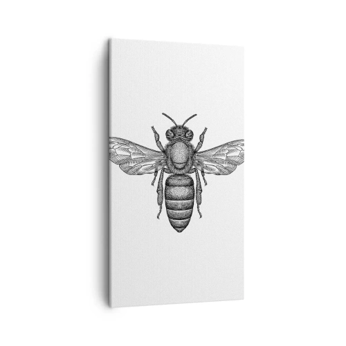 Cuadro sobre lienzo - Impresión de Imagen - Retrato de insecto - 45x80 cm