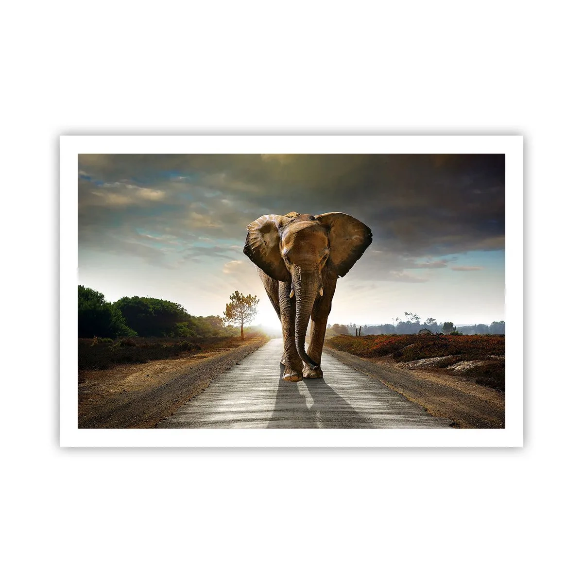 Póster - Y para nada en un almacén de porcelana - 91x61 cm