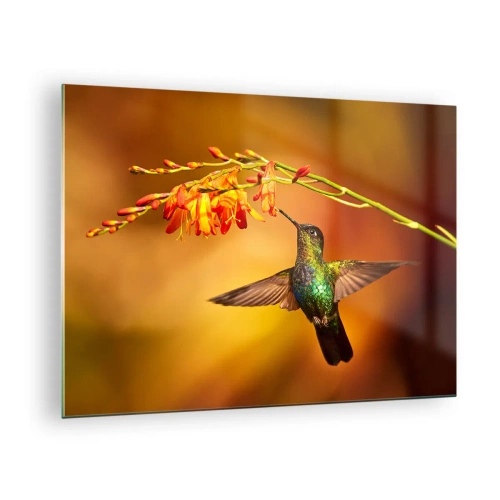 Cuadro sobre vidrio - Impresiones sobre Vidrio - Colibrí junto a flores en un resplandor dorado. - 70x50cm - Mensajero de la luz - Decoración de pared moderna para salón y dormitorio ARTTOR