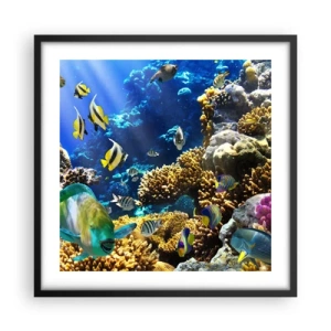 Póster en marco negro - Vacaciones submarinas - 50x50 cm