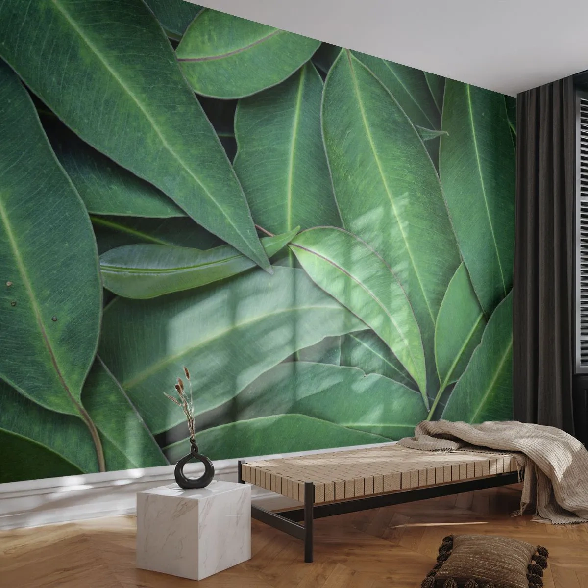 Fotomural Premium Canvas - Jugosidad y frescura - Hojas, Eucalipto, Naturaleza - 250x175 cm
