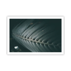 Póster - La precisión de la naturaleza - 91x61 cm