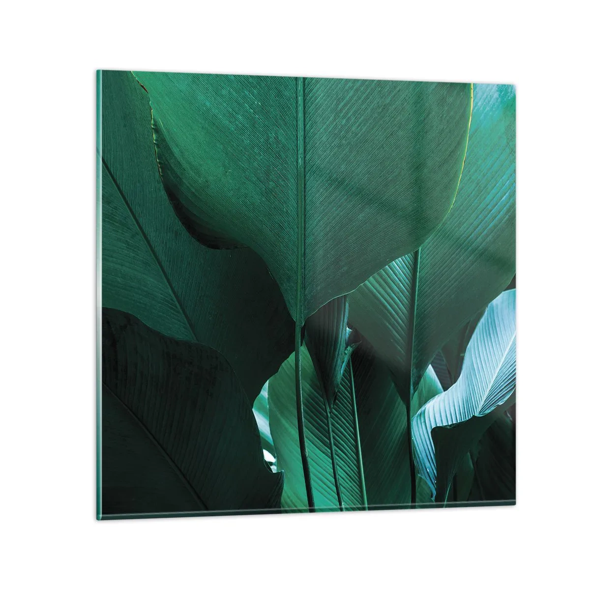 Cuadro sobre vidrio - Impresiones sobre Vidrio - De cara a la luz - 50x50 cm