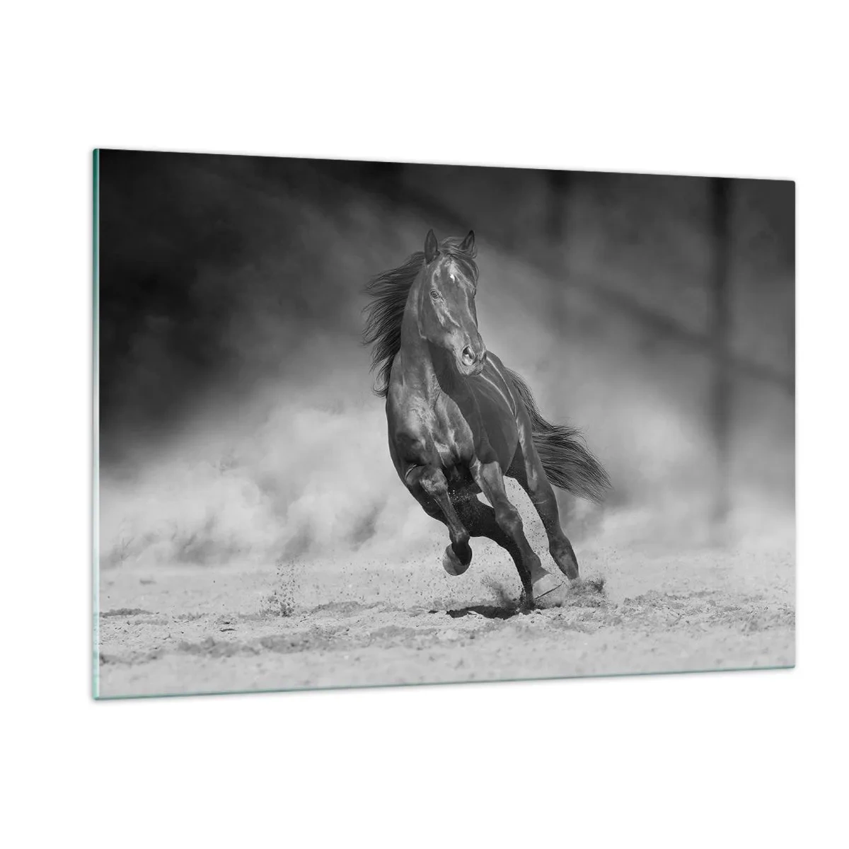 Cuadro sobre vidrio - Impresiones sobre Vidrio - Un caballo negro galopando sobre la arena en blanco y negro. - 120x80cm - Digno del propio emir - Decoración de pared moderna para salón y dormitorio ARTTOR