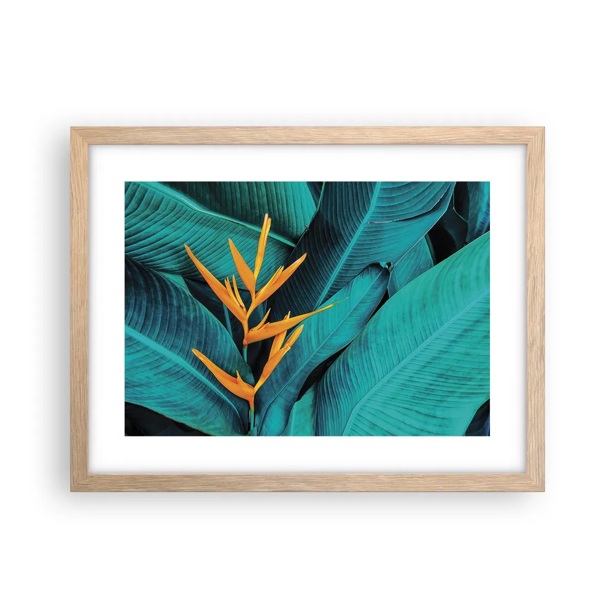 Póster en marco roble claro - Flor del Edén - 40x30 cm