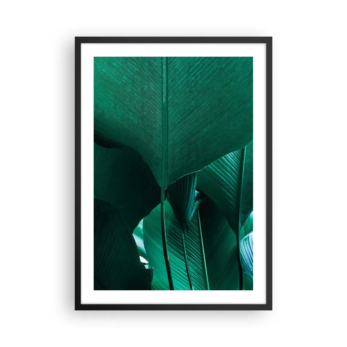 Póster en marco negro - Primer plano de grandes hojas verdes que muestran estructura y textura. - 50x70cm - De cara a la luz - Decoración de pared moderna para salón y dormitorio ARTTOR
