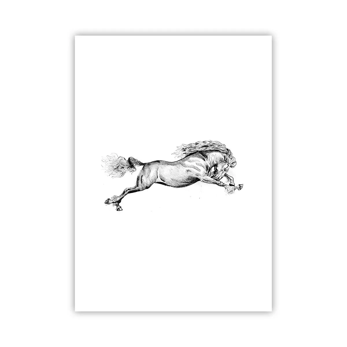 Póster - Ilustración de un caballo al galope en blanco y negro - 50x70cm - Captura al galope - Decoración de pared moderna para salón y dormitorio ARTTOR