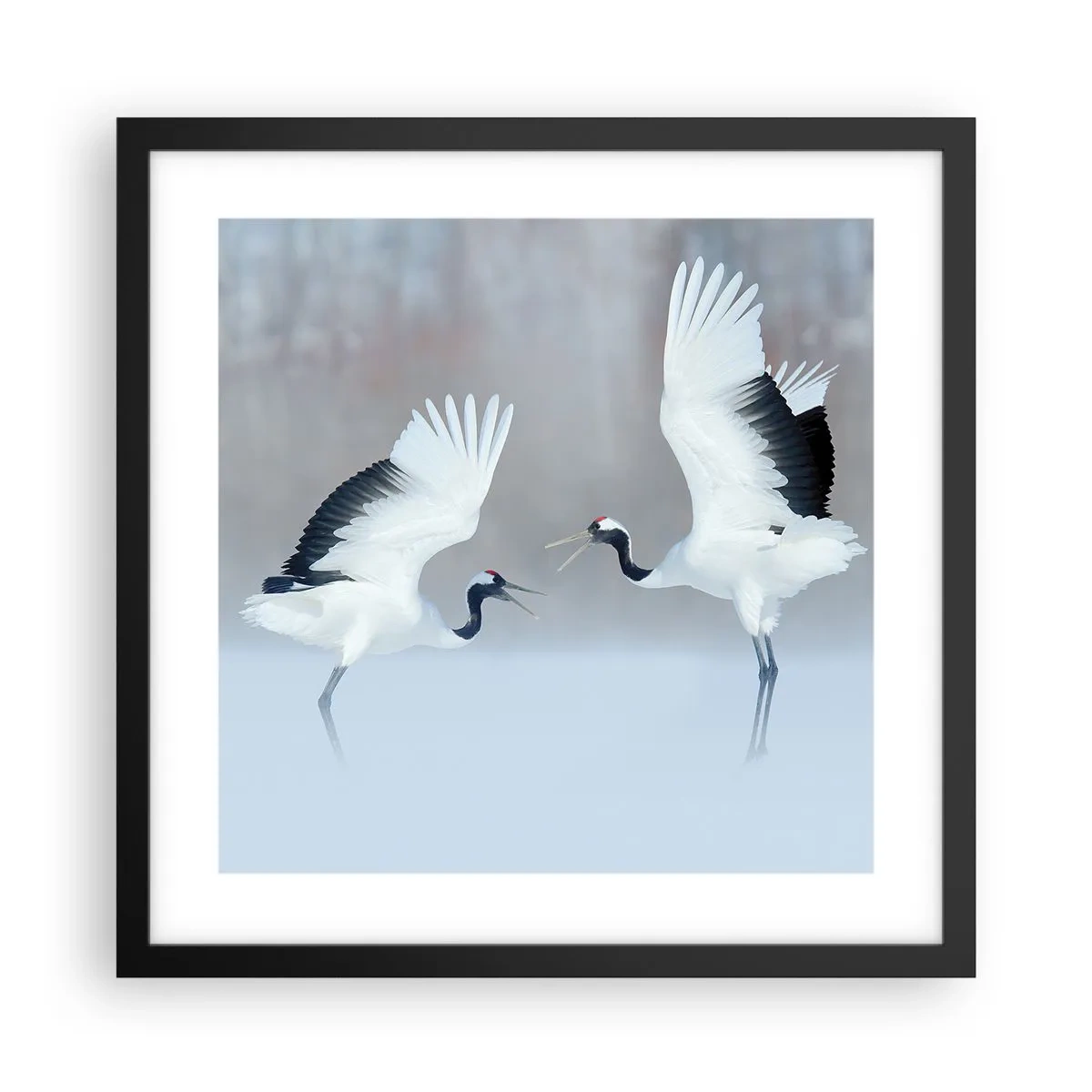 Póster en marco negro - Danza en la niebla - 40x40 cm