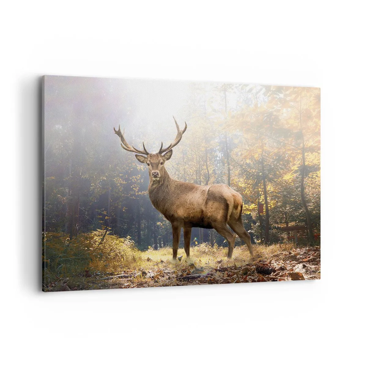 Cuadro sobre lienzo - Impresión de Imagen - Ciervos en el bosque otoñal con rayos de sol. - 100x70cm - Con toda la majestuosidad - Decoración de pared moderna para salón y dormitorio ARTTOR