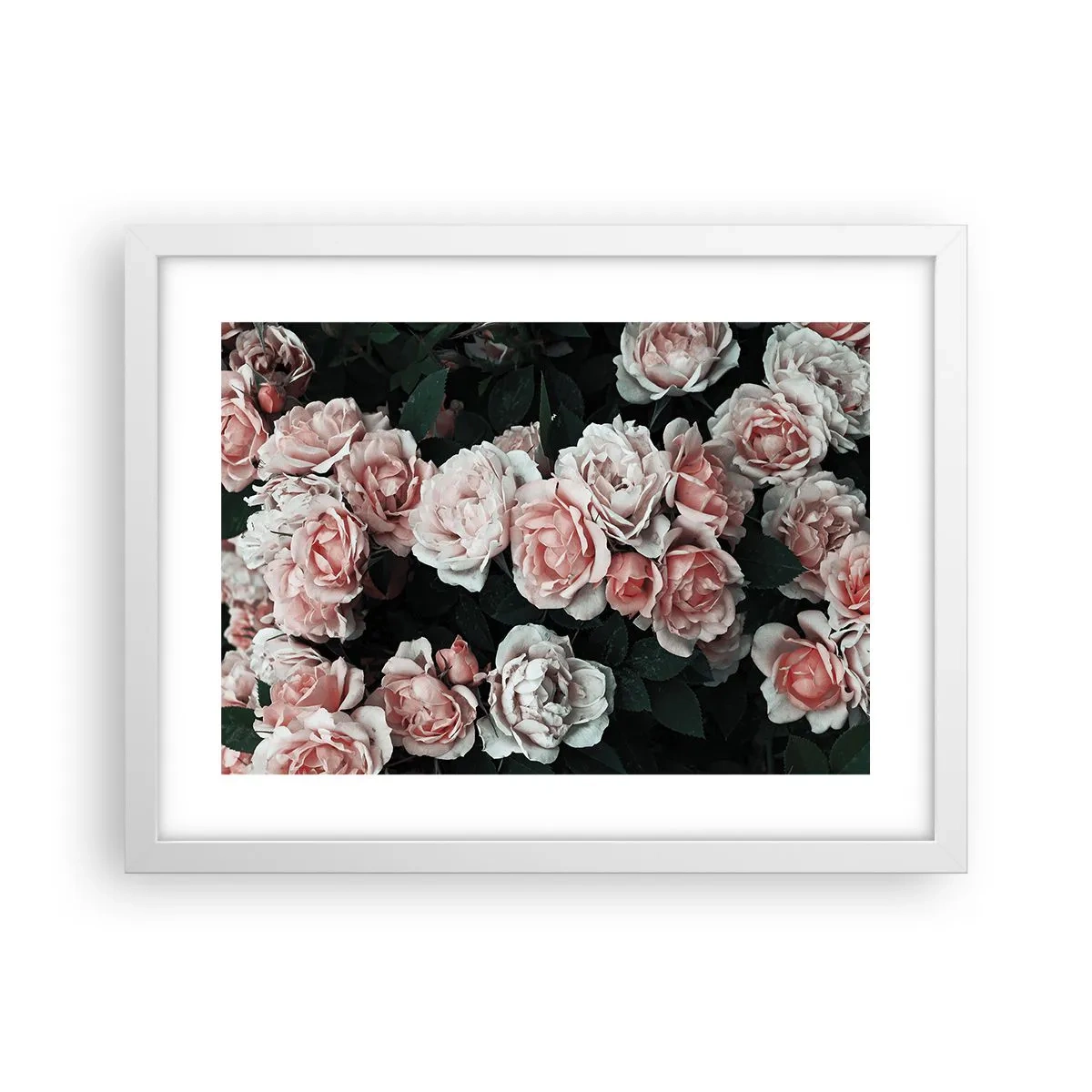 Póster en marco blanco - Conjunto de rosas - 40x30 cm