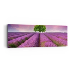 Cuadro sobre lienzo - Impresión de Imagen - En los campos de lavanda - 90x30 cm