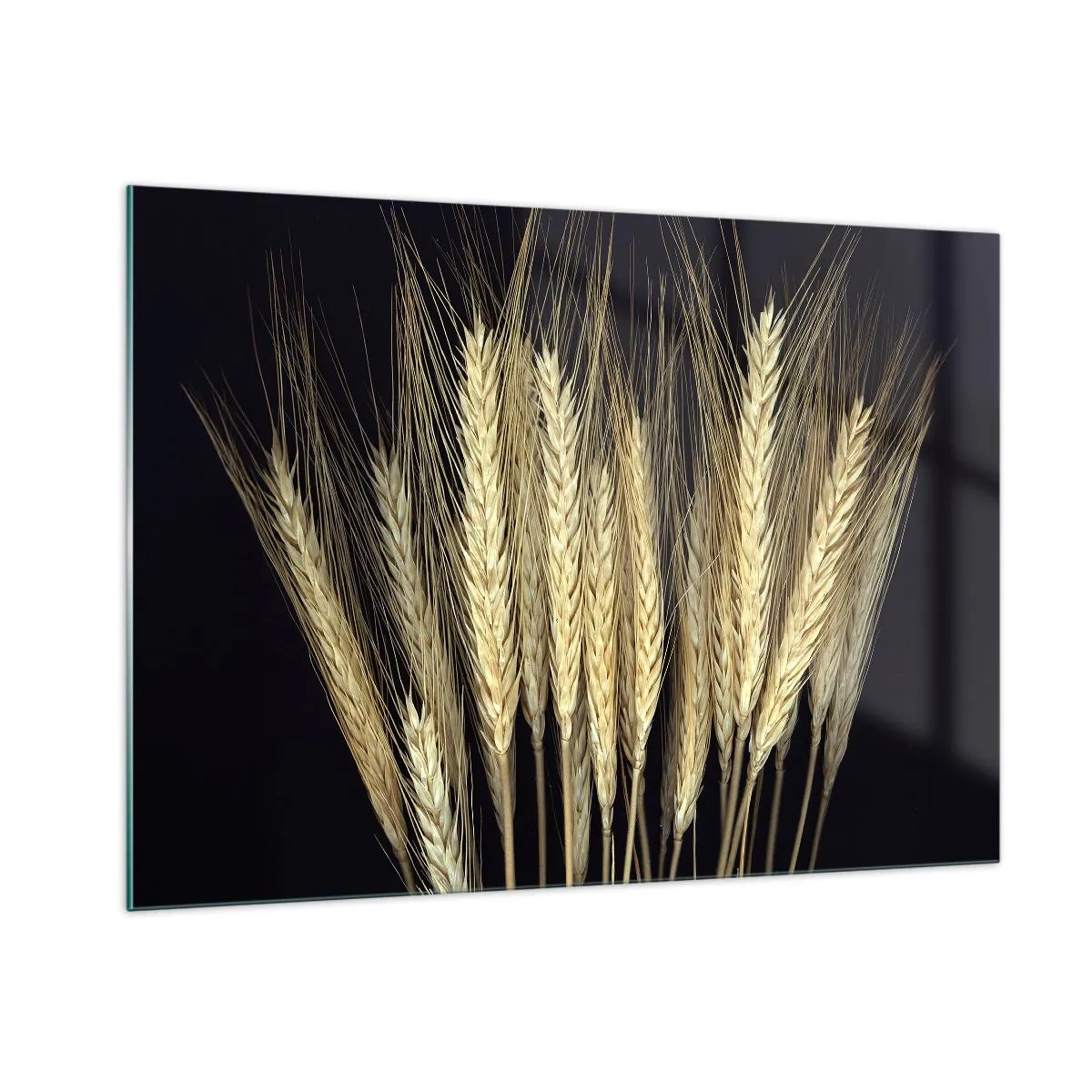 Cuadro sobre vidrio - Impresiones sobre Vidrio - Grano en tonos cálidos sobre fondo negro - 100x70cm - Magia rústica - Decoración de pared moderna para salón y dormitorio ARTTOR