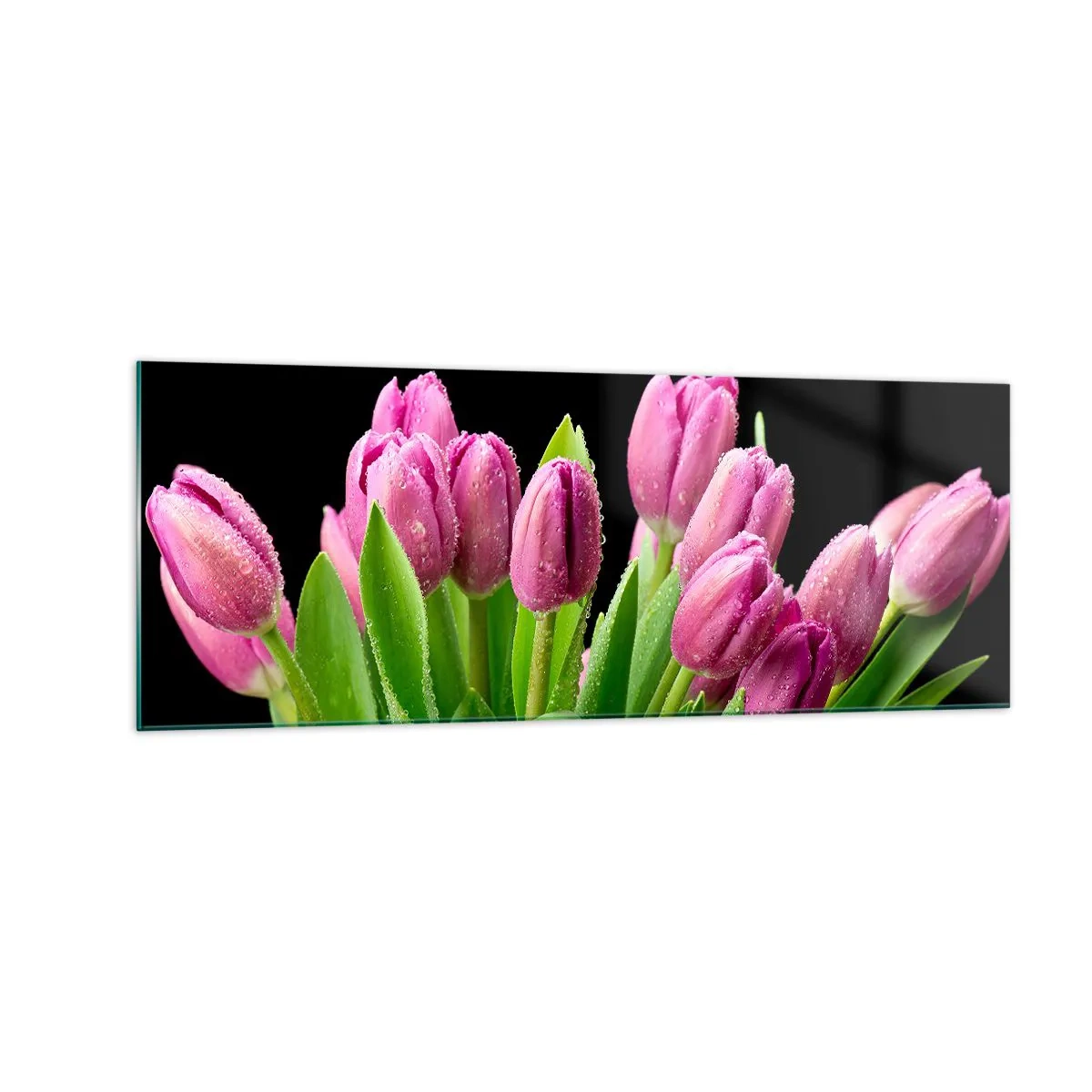 Cuadro sobre vidrio - Impresiones sobre Vidrio - Tulipanes rosados con gotas de rocío sobre un fondo negro - 140x50cm - La alegría de la primavera - Decoración de pared moderna para salón y dormitorio ARTTOR