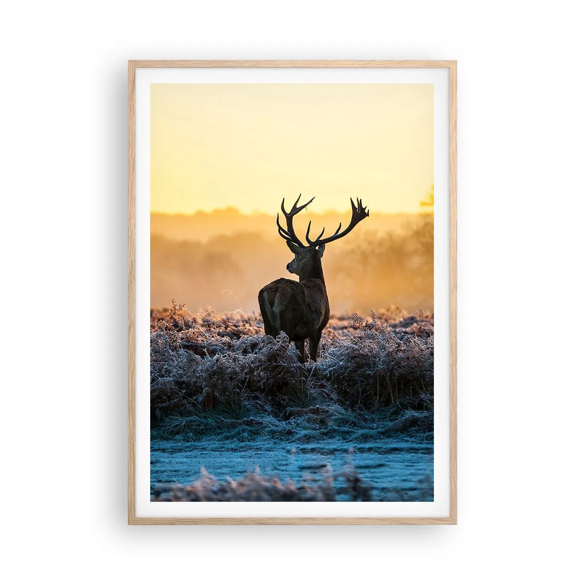 Póster en marco roble claro - Coronado en sus propios dominios - 70x100 cm