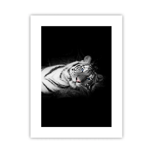 Póster - Salvaje y tranquilo - 30x40 cm