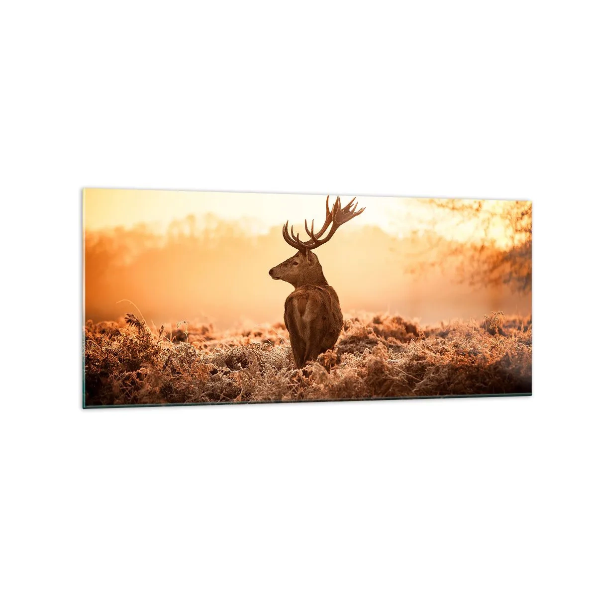 Cuadro sobre vidrio - Impresiones sobre Vidrio - Ciervos bajo los rayos del sol naciente - 120x50cm - Un líder por derecho - Decoración de pared moderna para salón y dormitorio ARTTOR