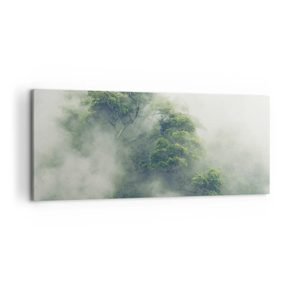 Cuadro sobre lienzo - Impresión de Imagen - Envuelto en niebla - 100x40 cm