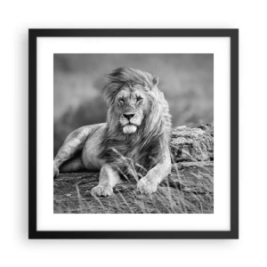 Póster en marco negro - La siesta real - 40x40 cm