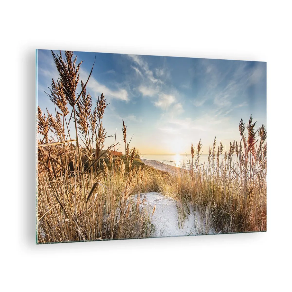 Cuadro sobre vidrio - Impresiones sobre Vidrio - Puesta de sol sobre una playa con dunas cubiertas de hierba - 70x50cm - Playa del norte - Decoración de pared moderna para salón y dormitorio ARTTOR