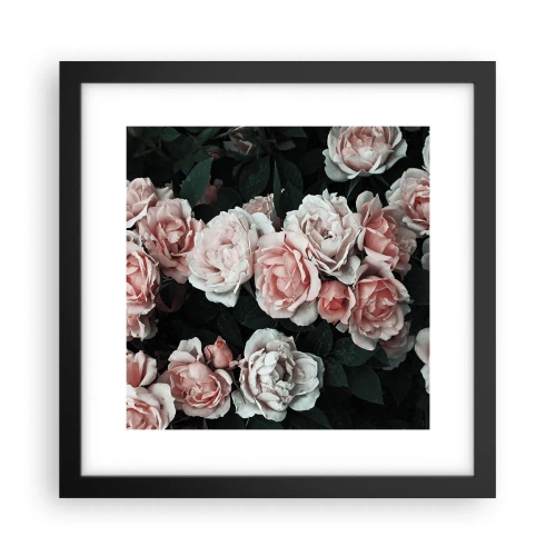Póster en marco negro - Conjunto de rosas - 30x30 cm
