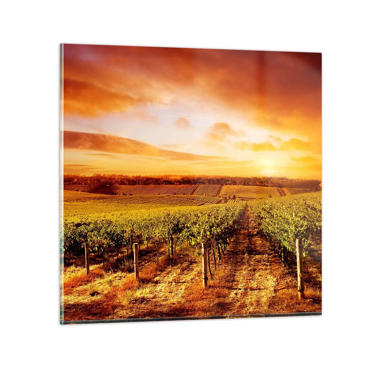 Cuadro sobre vidrio - Impresiones sobre Vidrio - Delicadamente afrutado con un toque de sol - 70x70 cm