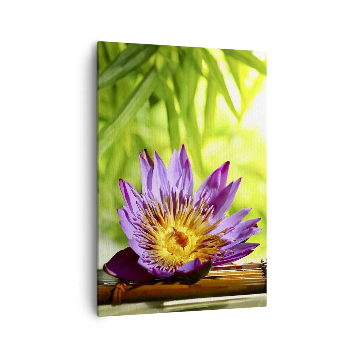 Cuadro sobre lienzo - Impresión de Imagen - Flor de loto púrpura sobre un fondo de hojas de bambú verdes. - 70x100cm - Bajo el sol de Asia - Decoración de pared moderna para salón y dormitorio ARTTOR