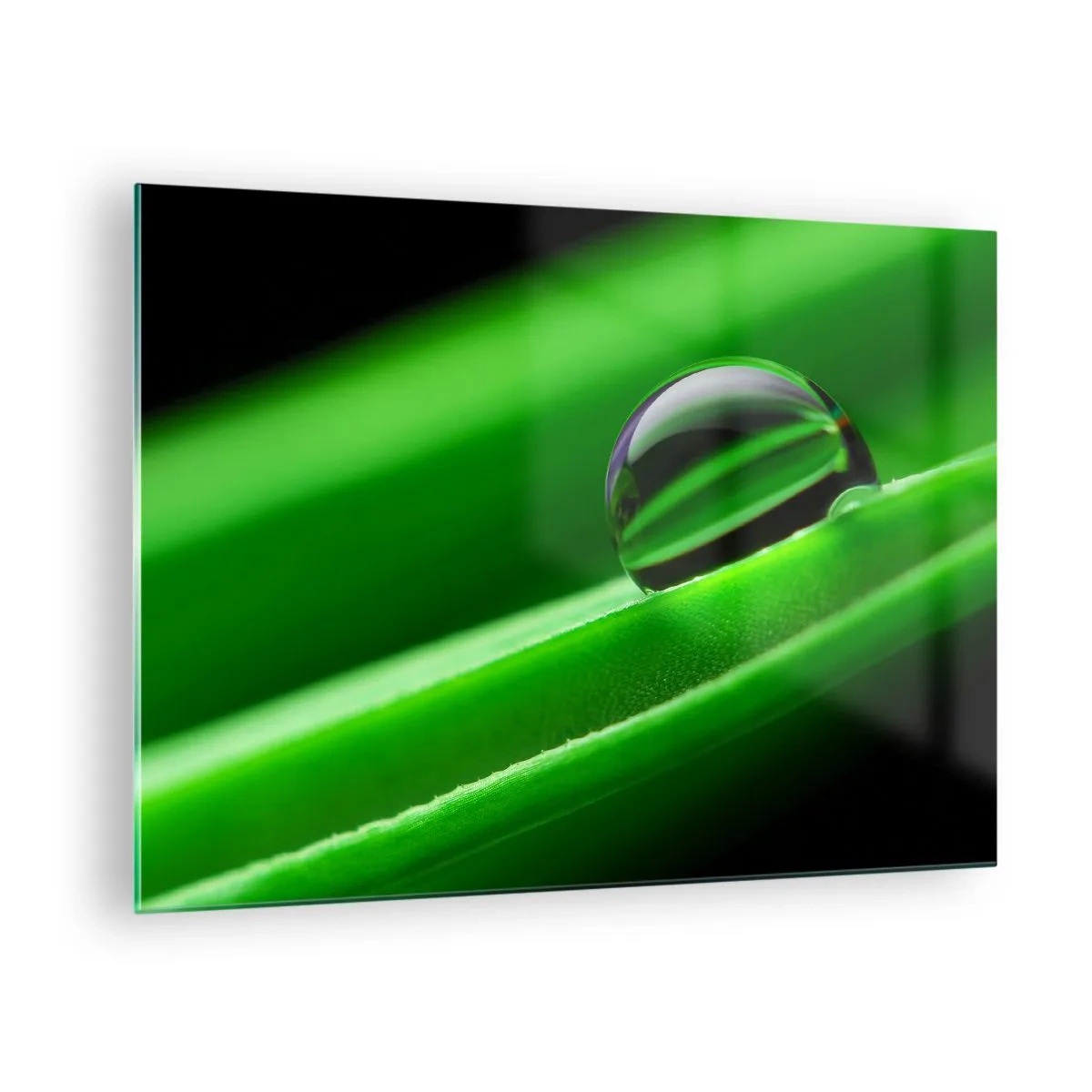 Cuadro sobre vidrio - Impresiones sobre Vidrio - Una gota de rocío sobre una hoja verde. - 70x50cm - La vida de cerca - Decoración de pared moderna para salón y dormitorio ARTTOR