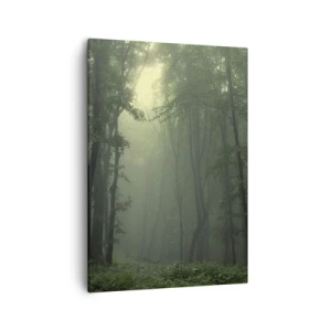 Cuadro sobre lienzo - Impresión de Imagen - Un bosque verde por la mañana envuelto en una delicada niebla. - 50x70cm - Antes de que se despierte el bosque - Decoración de pared moderna para salón y dormitorio ARTTOR