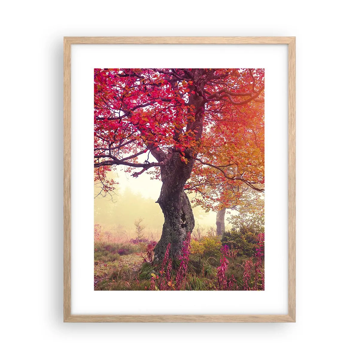 Póster en marco roble claro - Un frenesí de floración - 40x50 cm