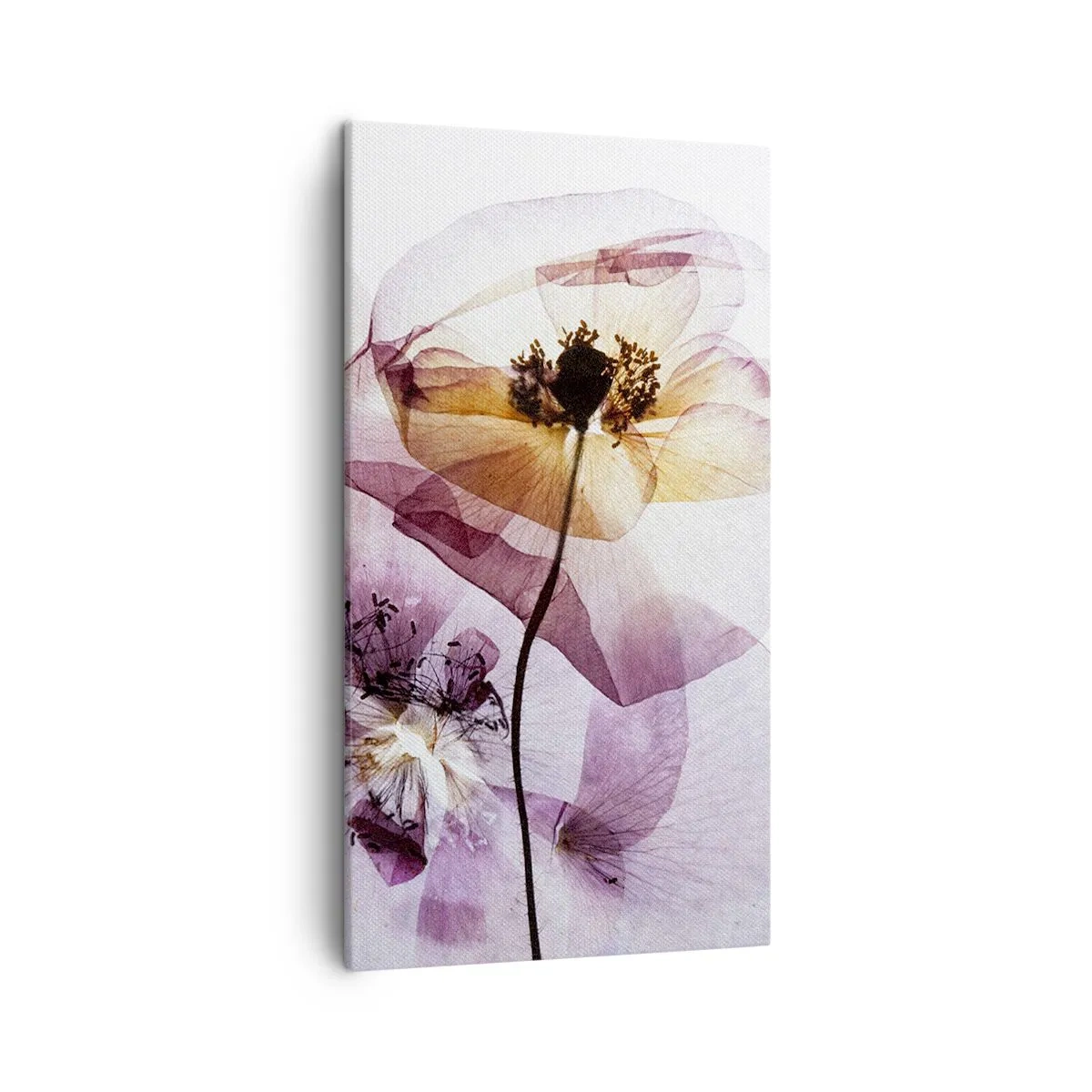 Cuadro sobre lienzo - Impresión de Imagen - Cuerpo de flor - 45x80 cm