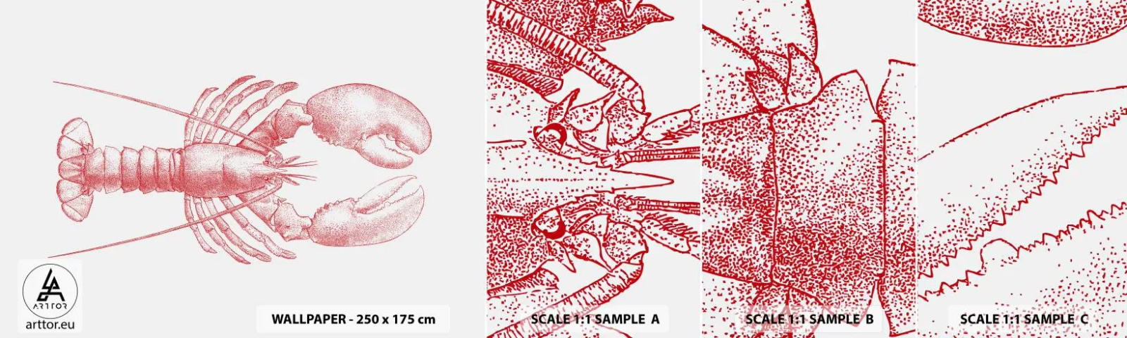 Muestra De Fotomural Standard Eco - La reina de los fondos rocosos - Langosta, Mariscos, Mariscos - 100x30 cm