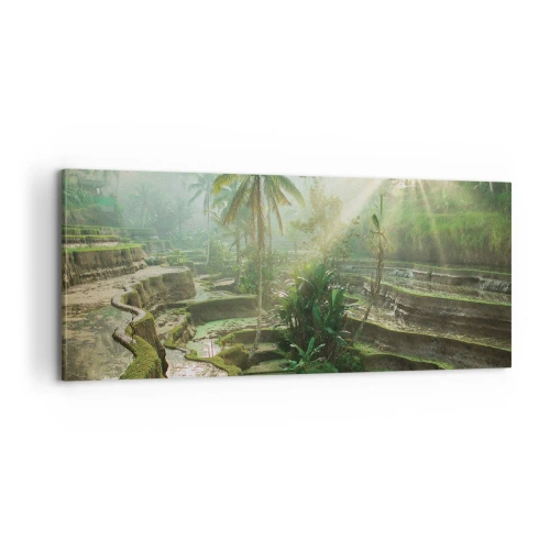 Cuadro sobre lienzo - Impresión de Imagen - Crecer bajo el sol - 100x40 cm