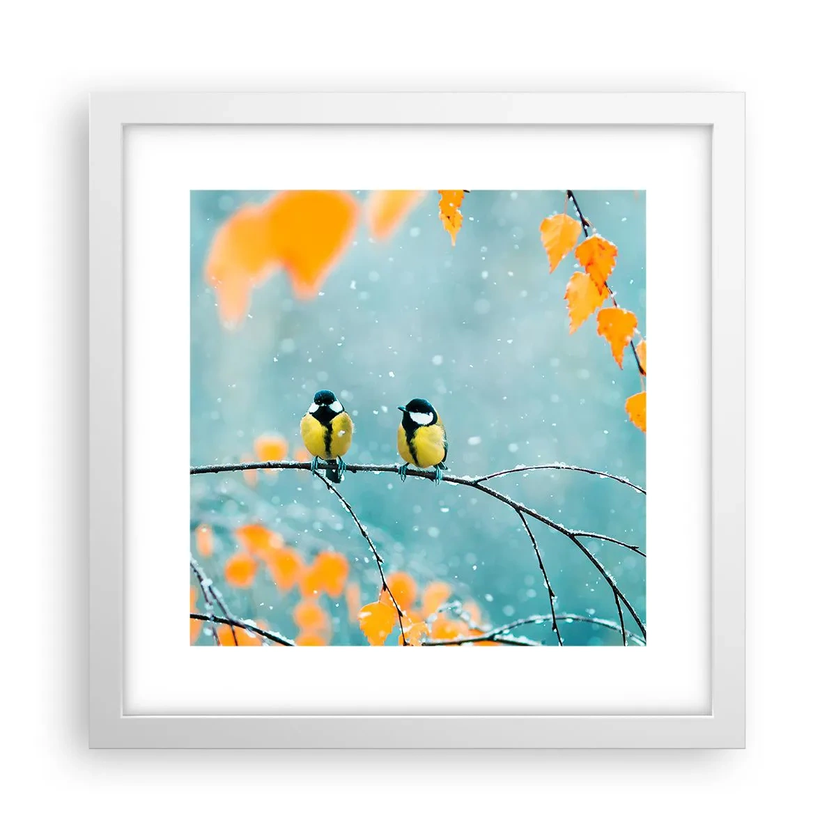 Póster en marco blanco - Cotilleo de pájaros - 30x30 cm