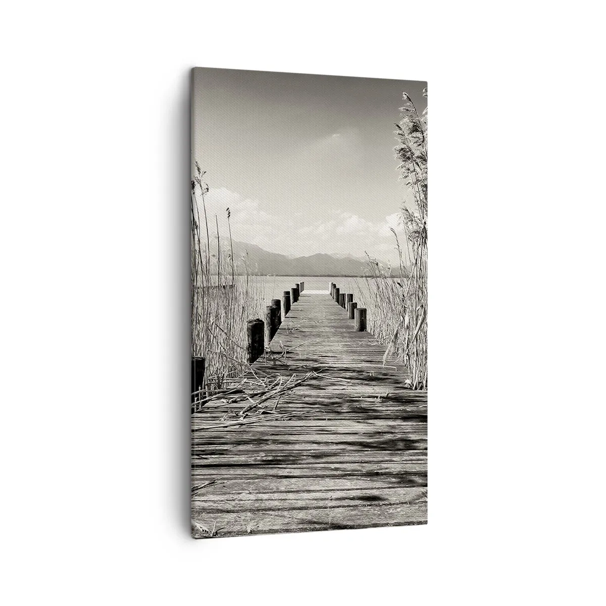 Cuadro sobre lienzo - Impresión de Imagen - En la quietud de los juncos - 45x80 cm