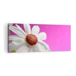 Cuadro sobre lienzo - Impresión de Imagen - Modesto en su belleza - 100x40 cm