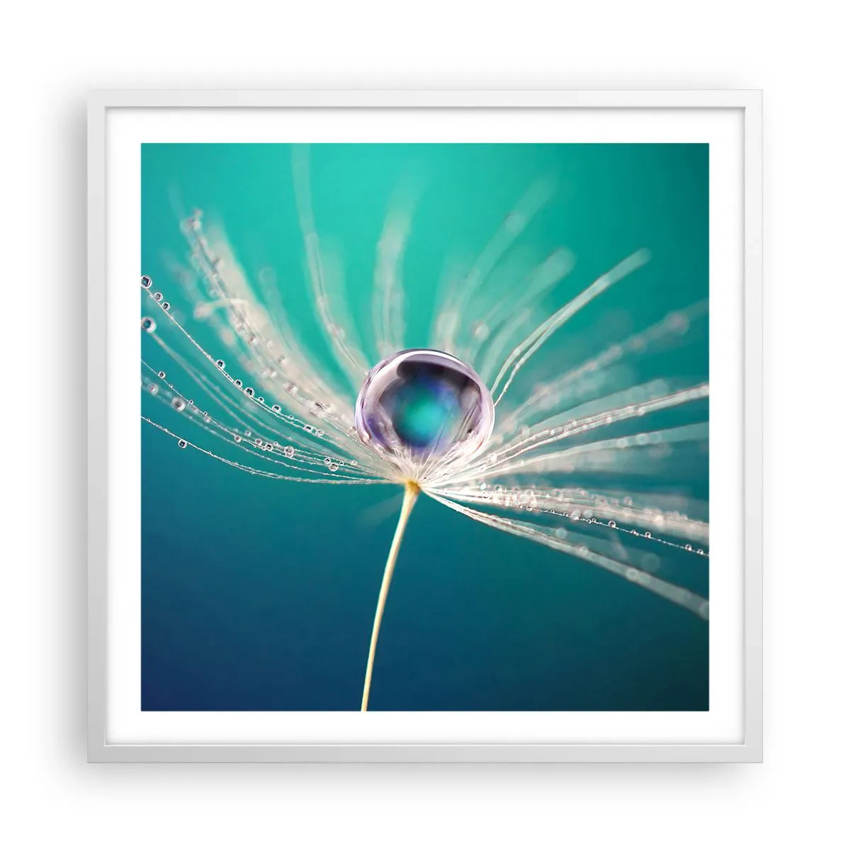 Póster en marco blanco - Momento místico - 60x60 cm