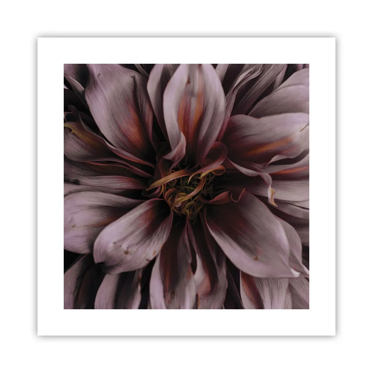 Póster - Corazón floral - 40x40 cm