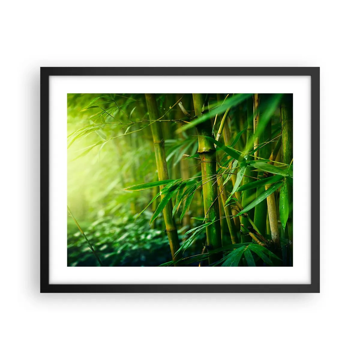 Póster en marco negro - Conocer el propio verdor - 50x40 cm