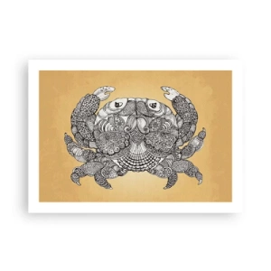 Póster - Cuentos del Sr. Cangrejo - 70x50 cm