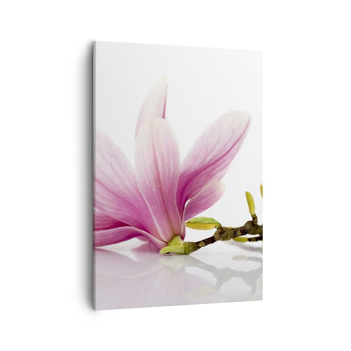 Cuadro sobre lienzo - Impresión de Imagen - Delicadas magnolias rosas sobre un fondo blanco. - 50x70cm - Suave como un soplo de primavera - Decoración de pared moderna para salón y dormitorio ARTTOR