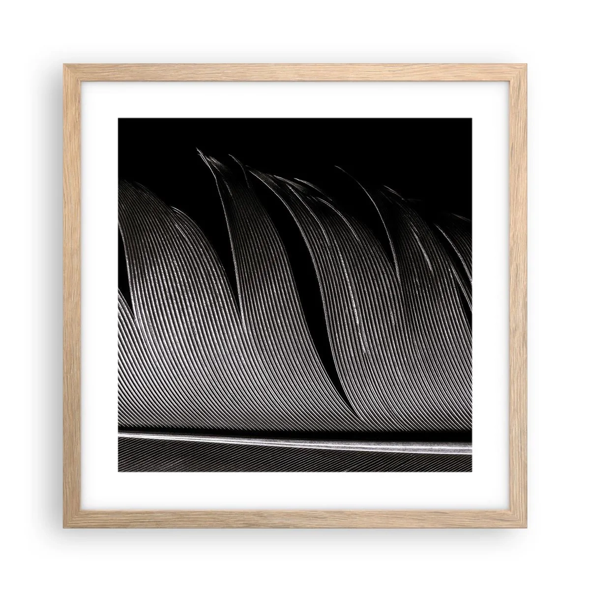 Póster en marco roble claro - Pluma - una construcción maravillosa - 40x40 cm