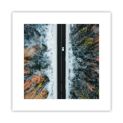 Póster - Atravesar el bosque en invierno - 30x30 cm