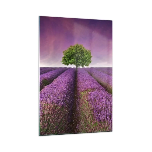 Cuadro sobre vidrio - Impresiones sobre Vidrio - Un campo de lavanda con un árbol solitario y un cielo púrpura. - 80x120cm - En los campos de lavanda - Decoración de pared moderna para salón y dormitorio ARTTOR