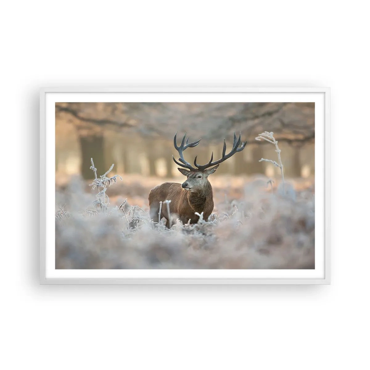 Póster en marco blanco - Una mañana fresca - 91x61 cm