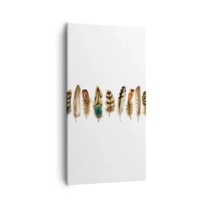 Cuadro sobre lienzo - Impresión de Imagen - Estudio de plumas - 55x100 cm