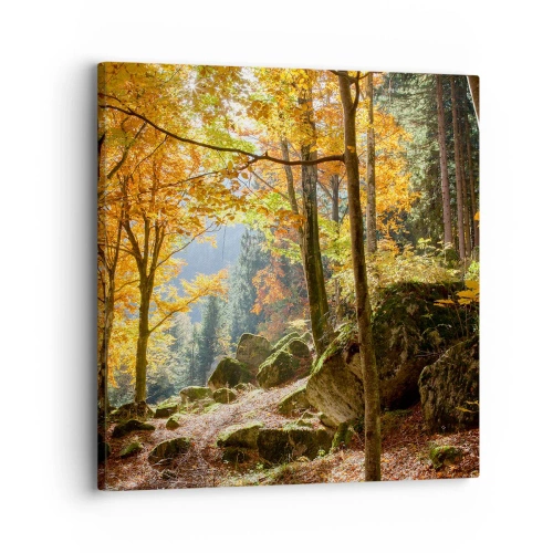 Cuadro sobre lienzo - Impresión de Imagen - Tiempo de descanso - 30x30 cm