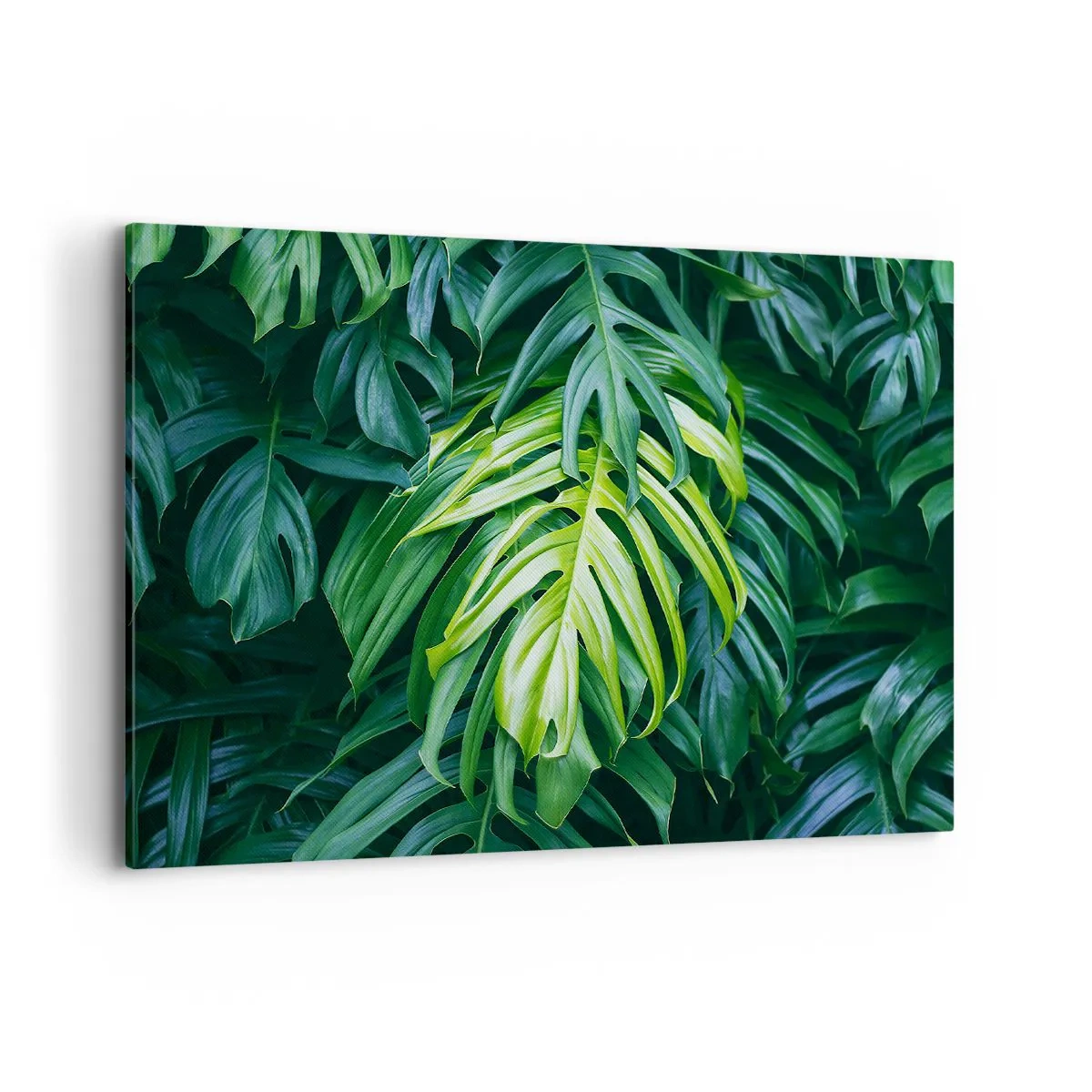 Cuadro sobre lienzo - Impresión de Imagen - Hojas verdes en un denso arreglo tropical. - 100x70cm - Sumérjase en la frescura - Decoración de pared moderna para salón y dormitorio ARTTOR