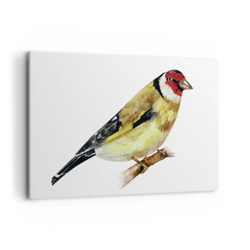 Cuadro sobre lienzo - Impresión de Imagen - Un pájaro con la cabeza roja en una rama. - 120x80cm - Retrato de pájaro - Decoración de pared moderna para salón y dormitorio ARTTOR
